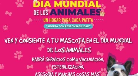 CELEBREMOS EL DÍA MUNDIAL DE LOS ANIMALES EN LA ALAMEDA
