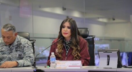 ESPERAN VENDER 25 MIL MILLONES DE PESOS EN EL BUEN FIN 24