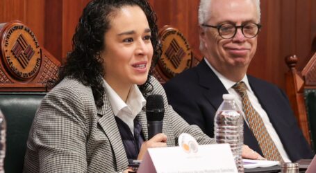 LA CIUDADANÍA ES CLAVE EN LA ELECCIÓN DE PERSONAS JUZGADORAS: AMALIA PULIDO