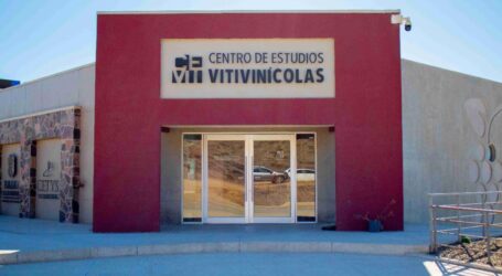 CETYS IMPULSA LA PROFESIONALIZACIÓN DEL SECTOR VITIVINÍCOLA EN MÉXICO