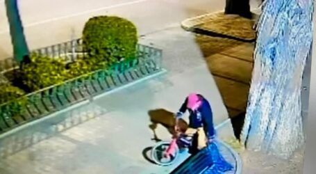 DETIENEN A EBRIOS Y MOTOCICLISTAS, PERO LA INFRAESTRUCTURA URBANA SE PIERDE
