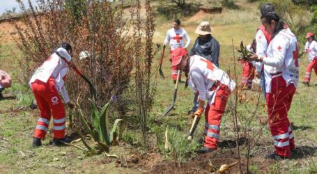 Conmemora Cruz Roja Mexicana Día Mundial del Ambiente con restauración hidrológico-forestal de cuencas