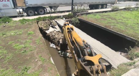 Continúan los trabajos de limpieza de bordos municipales