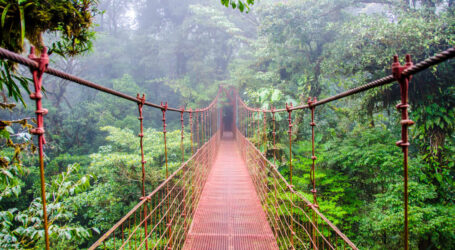 + Agua, Biodiversidad y Clima, el Llamado Urgente en Nuestro País