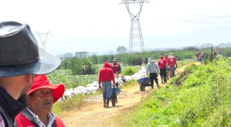 INICIAN TRABAJOS PARA QUITAR EL TAPONAMIENTO DEL RÍO LERMA