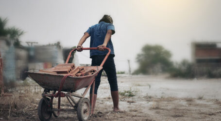+ Pobreza y Precariedad Laboral, las Causas del Trabajo Infantil