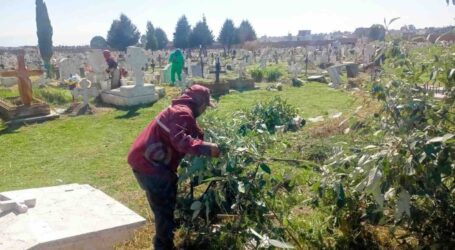 DAN MANITA DE GATO Y ZARPAZO DE TIGRE, A LOS PANTEONES