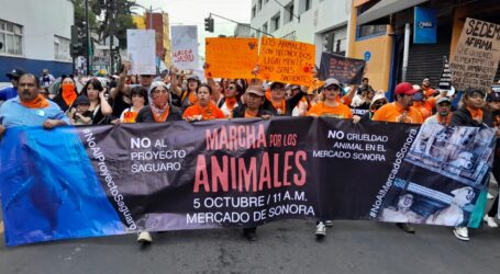 Marcha animalista exige fin de la venta de animales en el Mercado de Sonora y reconocimiento de los seres sintientes