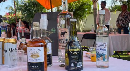 Avanza Mezcal Mexiquense: Economía avala el término de “Destilado de agave”