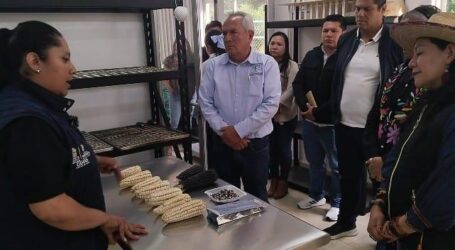 Con investigación y capacitación, el Gobierno del EdoMéx impulsa la producción de maíz