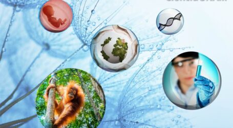 +Murió Doña Carmen Morales, madre del ex alcalde Fernando Zamora Morales; Bioética, Llamado de Atención A Aprender a Convivir y Sobrevivir