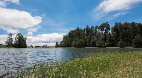 Prioriza GPPVEM reformas en biodiversidad, alimentación y deporte