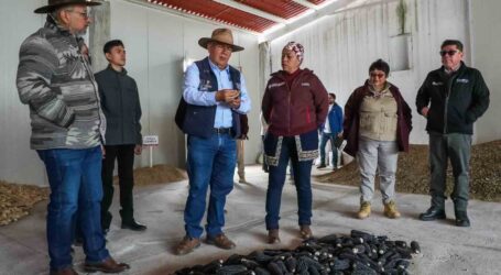 Otorga Gobierno del EdoMéx 5 mil pesos por hectárea a productores de maíz de 27 municipios