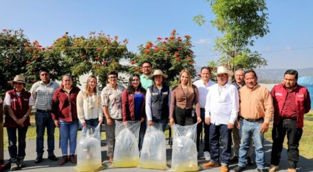 Produjeron 7 mil toneladas de pescado en centros acuícolas durante 2025