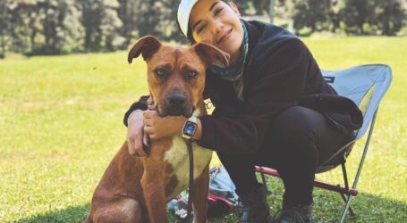 Encontraron hogares amorosos 110 seres sintientes, antes vivían en calles y vía pública