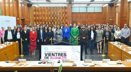 Necesario poner en la agenda la maternidad subrogada: diputadas