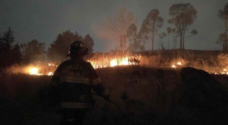 Laboran bomberos de Toluca para sofocar incendio de pastizal en San Luis Obispo