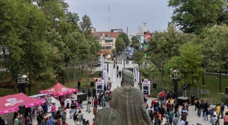 Disfruta de paseos caninos, bici y talleres verdes en la renovada Alameda
