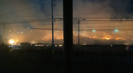 Controlan Bomberos de Toluca incendio de pastizal en avenida Las Partidas
