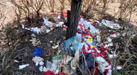 UN MULADAR LOS JARDINES DE LA PLAZA DE LOS MÁRTIRES