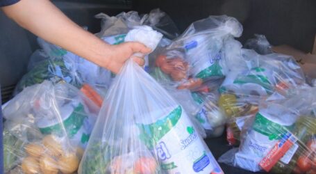 +Entrega de despensas en zonas vulnerables no es una política de seguridad alimentaria sino de control territorial; y así el próximo candidato se convierte en “benefactor”, sin poner su dinero; Oscar Flores y Tlaxcala
