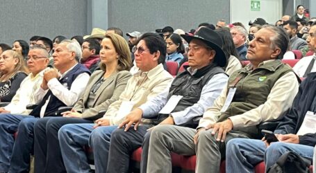 BUSCAN DAR PROTECCIÓN A LOS POLINIZADORES NO VISIBLES DE LOS BOSQUES EN EDOMÉX