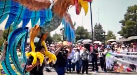 Protestan galleros por restricciones De la Ley de Bienestar Animal