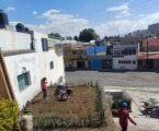 Promueve Ricardo Moreno biodiversidad urbana  con la instalación de jardines polinizadores
