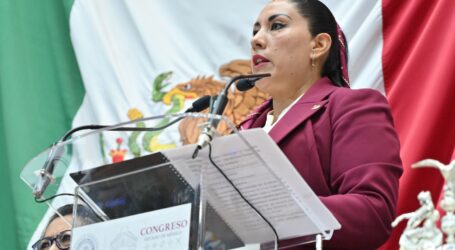 El Congreso no se detiene, aun en receso parlamentario: Martha Camacho