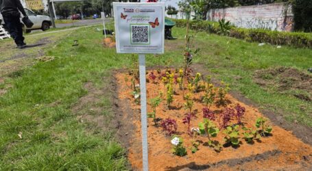 Impulsa Toluca la instalación de 100 jardines polinizadores