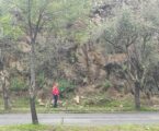 Supervisa Protección Civil zonas altas y laderas de Toluca