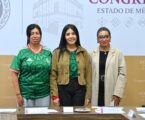 Analizan en el Congreso sancionar uso de drones en diversos delitos