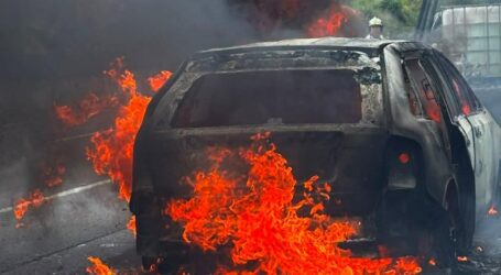 Sofocan incendio de una camioneta en la Tenango-Ixtapan de la Sal