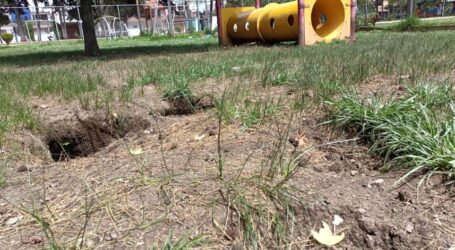 El parque Xinantécatl, en Metepec, creado para perros, está en el abandono total