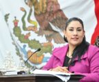 Pide Martha Camacho declarar patrimonio cultural a la técnica del peluche