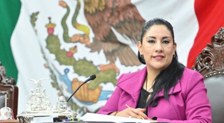 Pide Martha Camacho declarar patrimonio cultural a la técnica del peluche