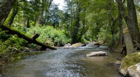 + La devastación ambiental que hoy enfrenta Valle de Bravo trasciende cualquier debate político