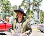Ecourban denuncia que no hay estudio Técnico de los árboles de Paseo Colón