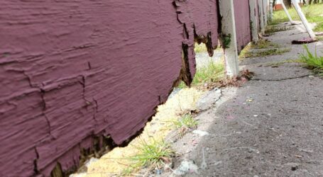 Grave deterioro presenta el Parque Vicente Guerrero