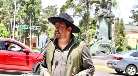 Ecourban denuncia que no hay estudio Técnico de los árboles de Paseo Colón