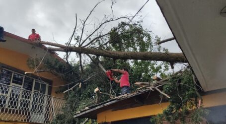 Incendio en Atzcapotzaltongo y caída de un árbol en Santa Ana Tlapaltitlán