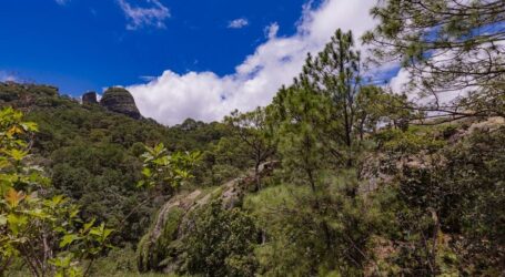 Conservar el suelo es clave para la seguridad alimentaria y la resiliencia climática: UAEMéx