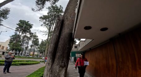 Serán únicamente 26 en Paseo Colón los que cuentan con dictamen técnico