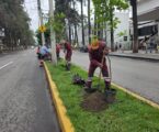 BUSCAN MÁS SEGURIDAD Y MOVILIDAD LOS TRABAJOS EN PASEO COLÓN