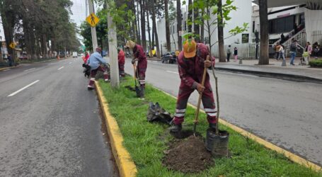 BUSCAN MÁS SEGURIDAD Y MOVILIDAD LOS TRABAJOS EN PASEO COLÓN