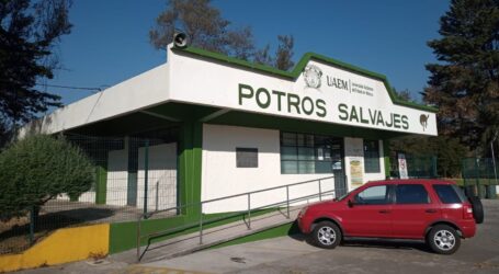 ACLARAN LA SITUACIÓN DEL RIJOSO EN UN JUEGO INFANTIL DE POTROS SALVAJES