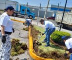 Avanza Toluca en la creación de jardines polinizadores, fomenta la recuperación de espacios públicos