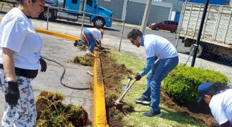 Avanza Toluca en la creación de jardines polinizadores, fomenta la recuperación de espacios públicos