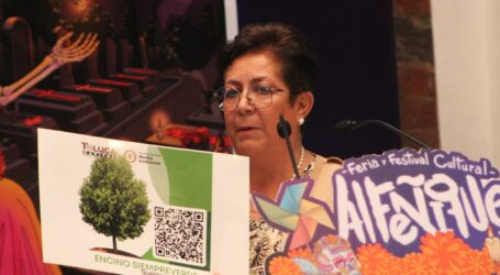 El retiro de árboles en Colón no es un capricho: Ricardo Moreno