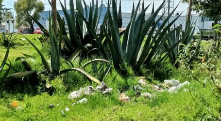 CONCENTRACIÓN DE PM EN EL AIRE EN METEPEC, ES  3.9 VECES SUPERIOR AL VALOR REFERENCIAL: IQAIR